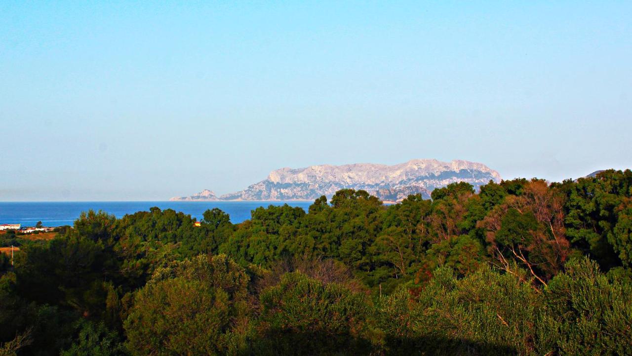 Sole Matto Rooms Olbia Exterior foto